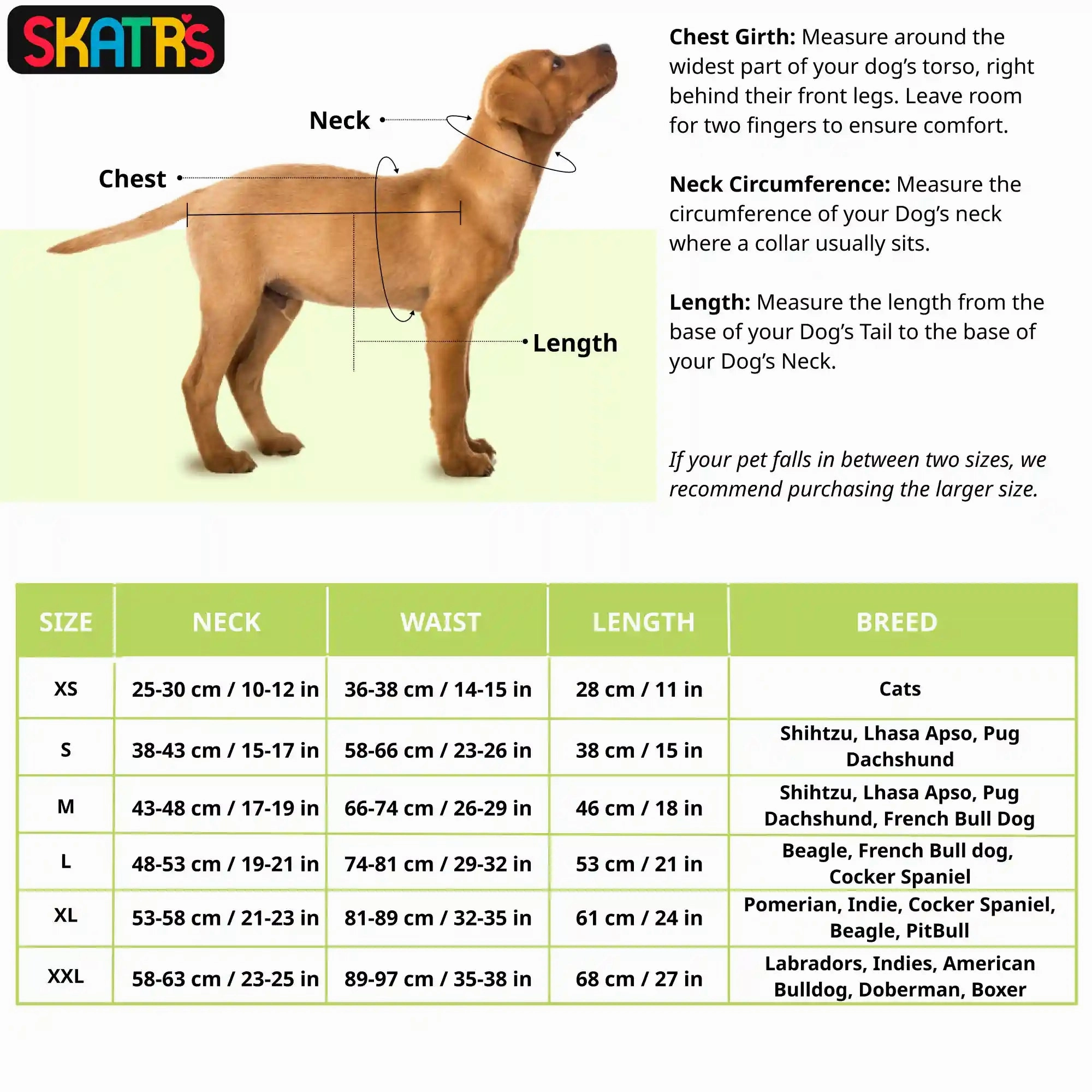Skatrs Petal Charm Kurta for Dogs and Cats