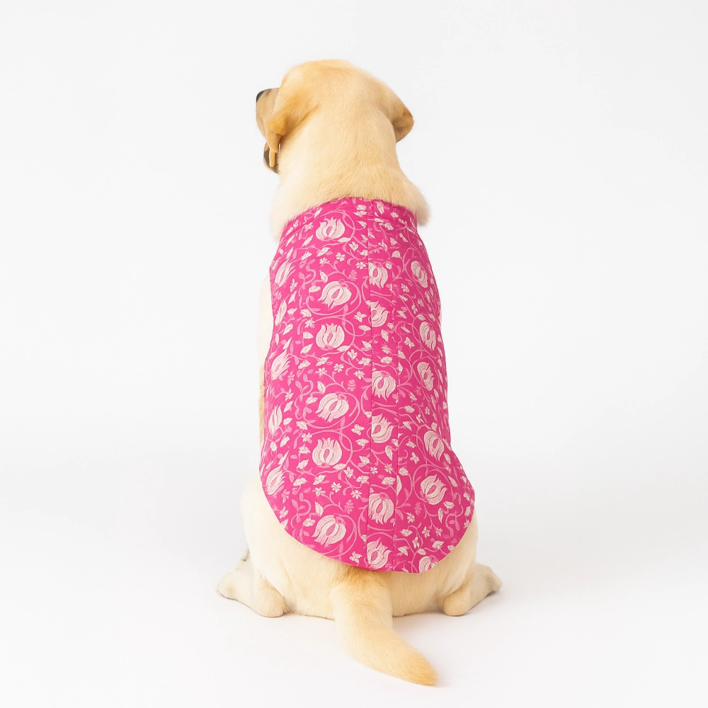 Skatrs Petal Charm Kurta for Dogs and Cats
