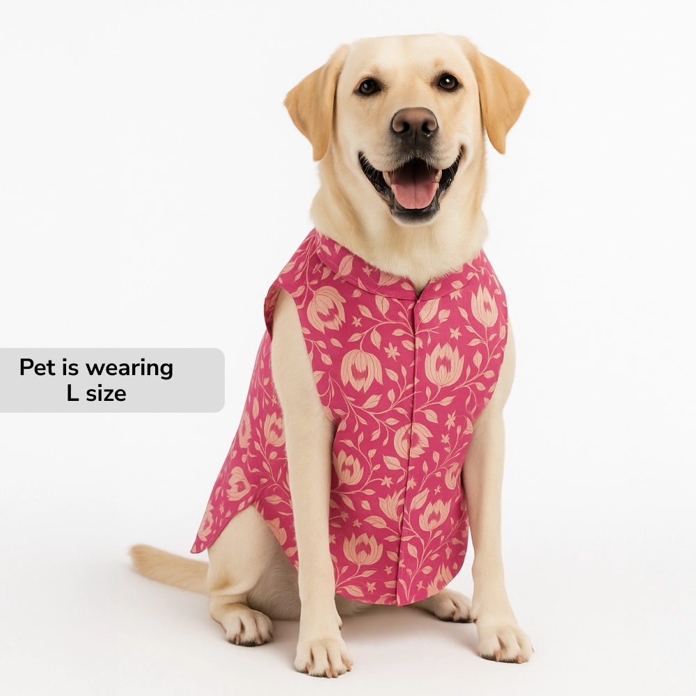 Skatrs Petal Charm Kurta for Dogs and Cats