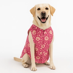 Skatrs Petal Charm Kurta for Dogs and Cats