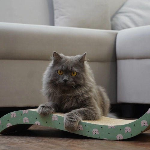 Skatrs Satisfying Wave Cat Scratcher with 2g Premium Catnip Free (Length 51cm)