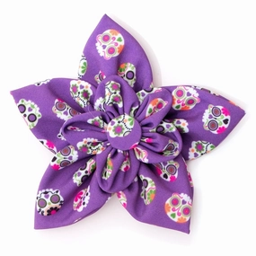 Skeletons Dog Collar Flower Purple dog collar accessory,collar decor