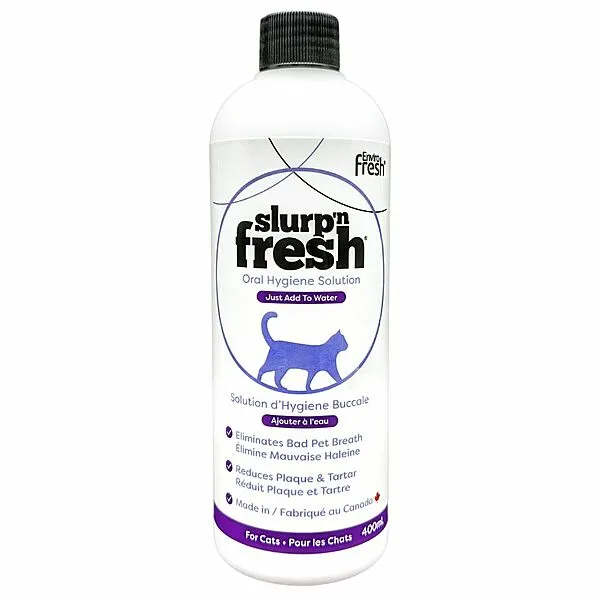 Slurp N Fresh 400ML | Cat adult cat food, best cat food for adults