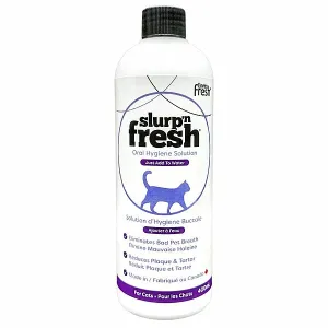 Slurp N Fresh 400ML | Cat adult cat food, best cat food for adults