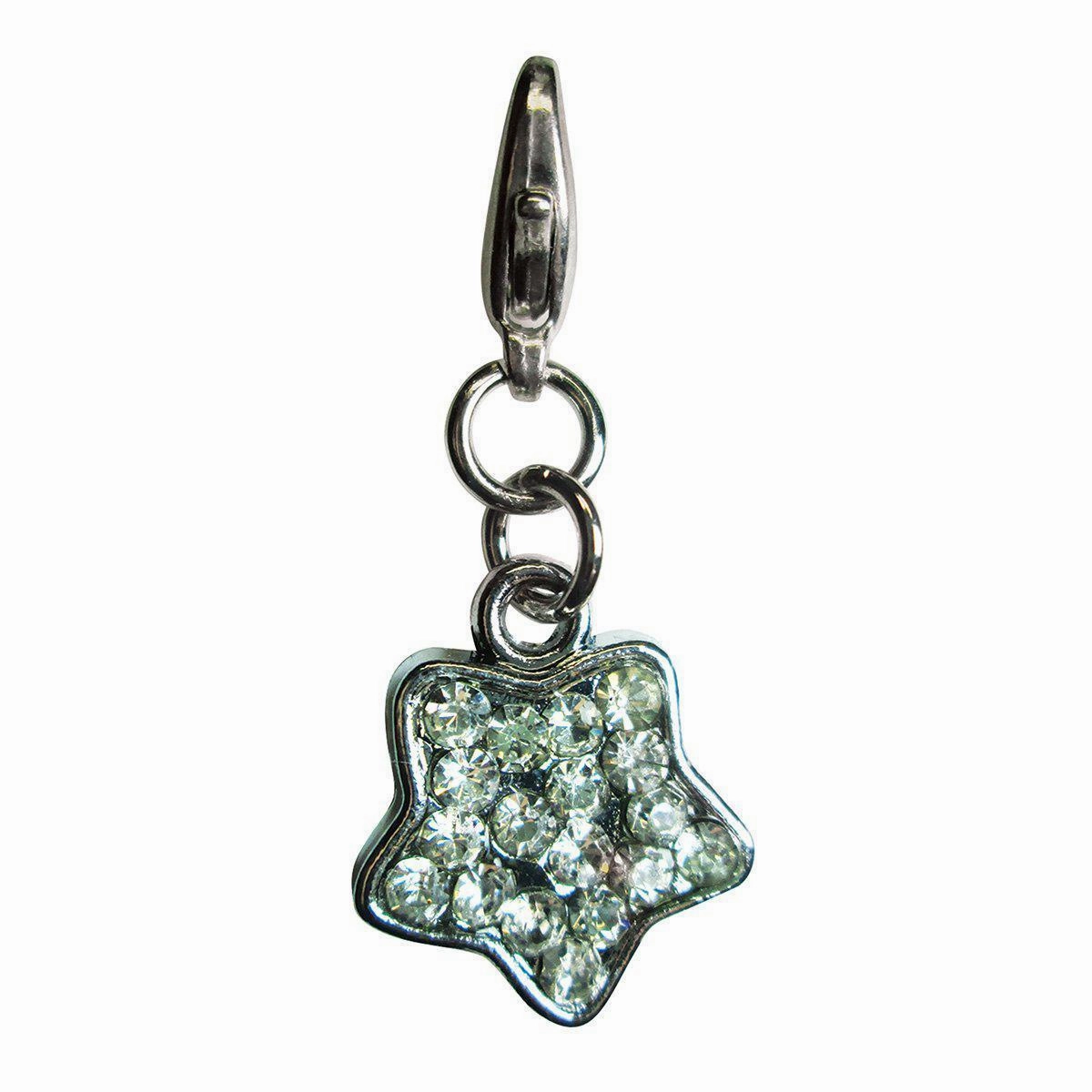 Sparkling Clear Rhinestone Star Dog Collar Charm dog collar charm,pet tag