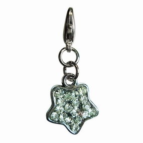 Sparkling Clear Rhinestone Star Dog Collar Charm dog collar charm,pet tag
