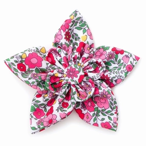 Spring Garden Dog Collar Flower dog collar accessory,collar decor