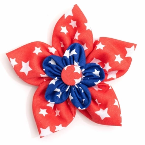 Stars Dog Collar Flower dog collar accessory,collar decor