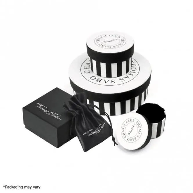 Sterling Silver Zirconia White Winged Heart Charm 0626-051-14 Thomas Sabo Collectable Charms