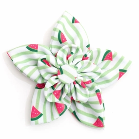 Stripe Watermelon Dog Collar Flower dog collar accessory,collar decor