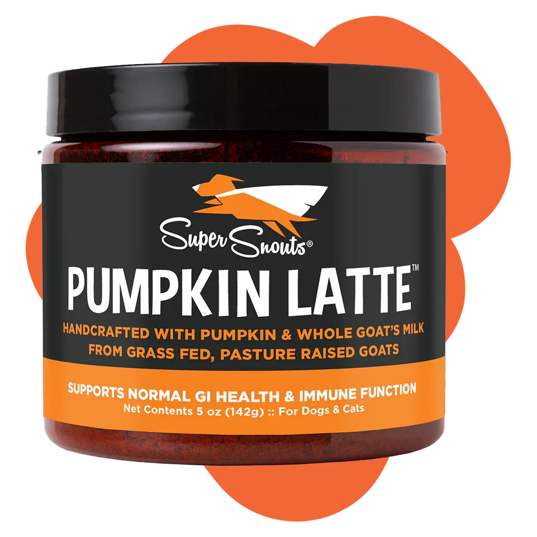 Super Snouts Pumpkin Latte 5oz cat vitamins, cat immune support