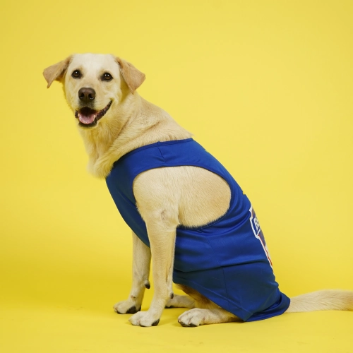 Supertails Bengaluru FC Jersey for Dogs and Cats