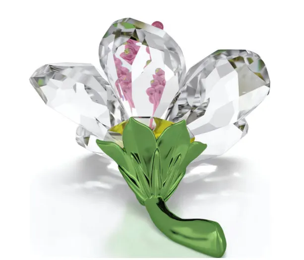 Swarovski Crystal Jewellery Florere Small Hibiscus