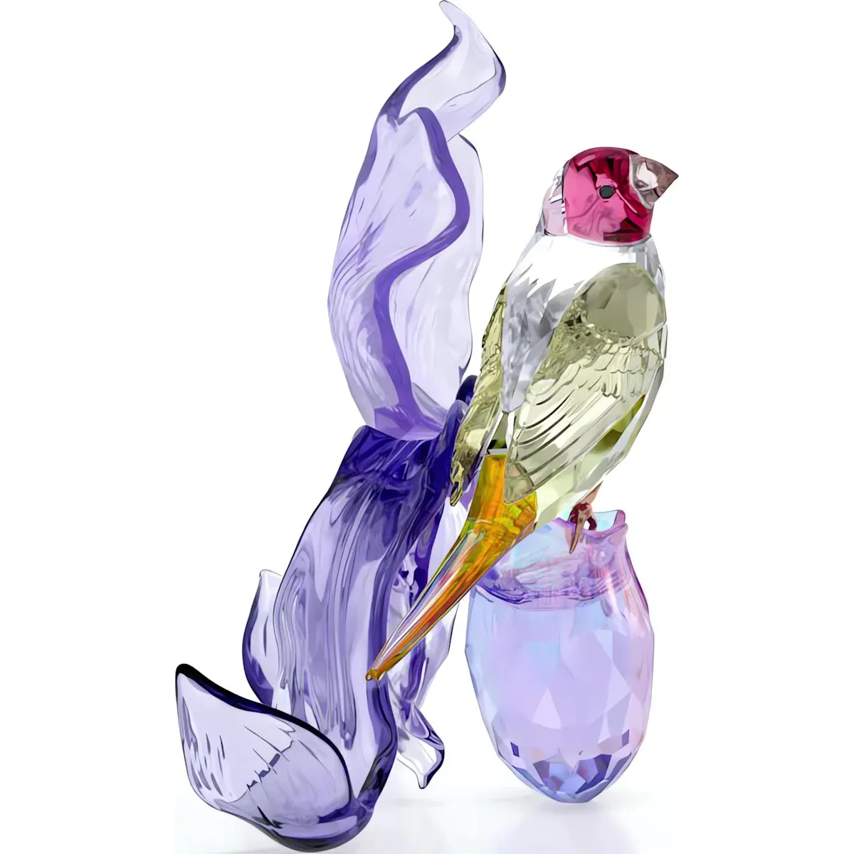 Swarovski Crystal Jewellery Idyllia Gouldian Finch and Orchid