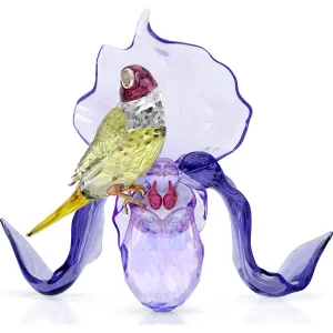 Swarovski Crystal Jewellery Idyllia Gouldian Finch and Orchid