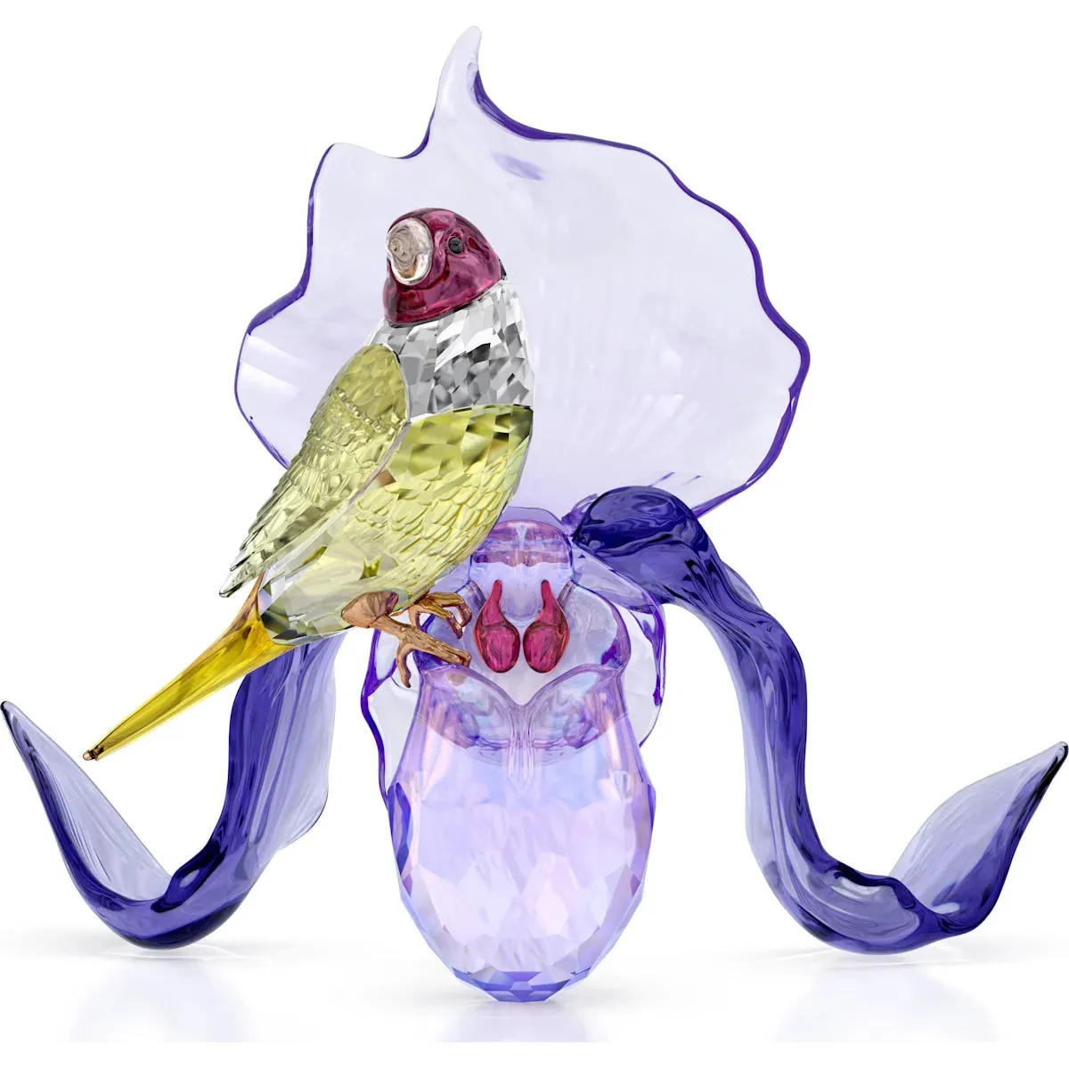 Swarovski Crystal Jewellery Idyllia Gouldian Finch and Orchid