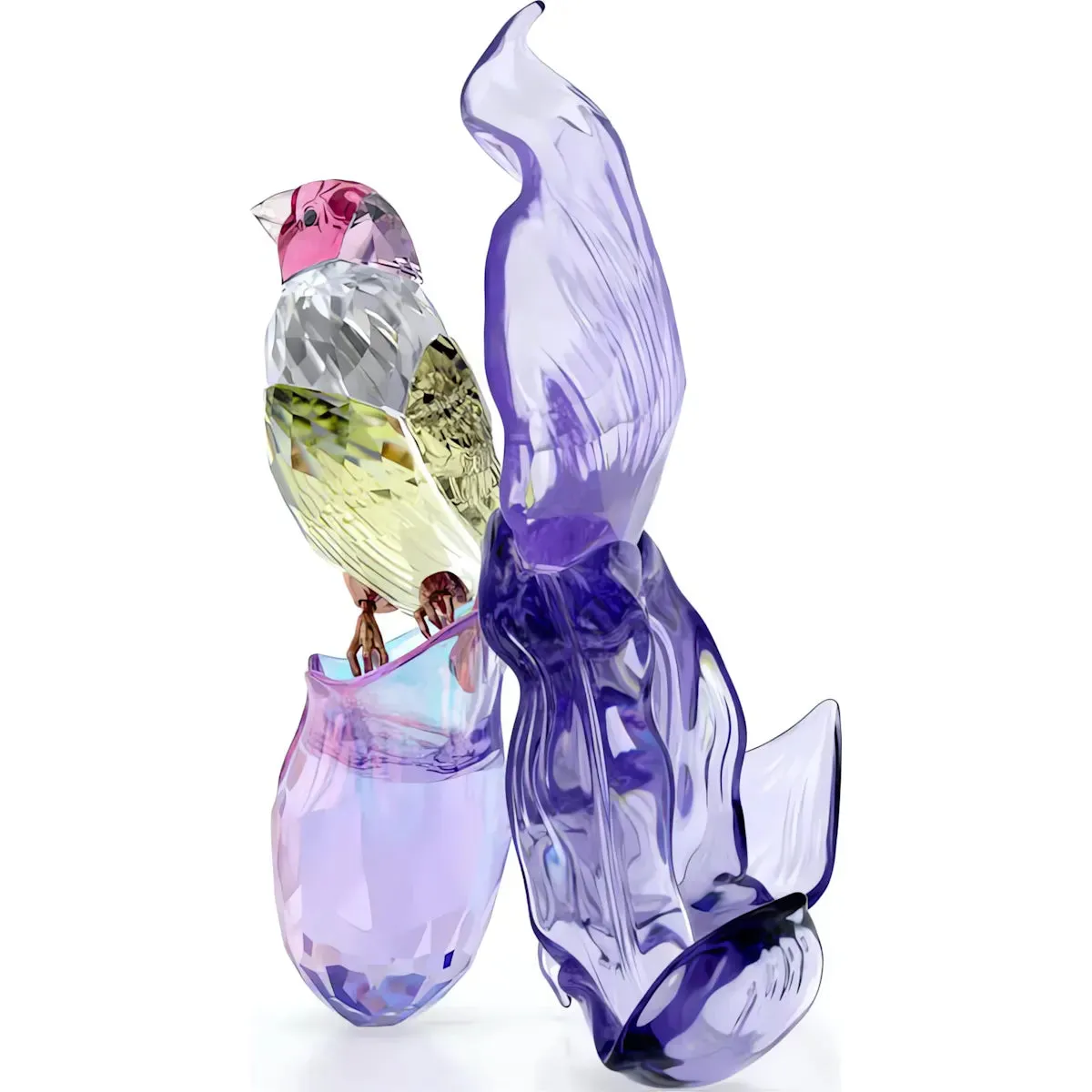 Swarovski Crystal Jewellery Idyllia Gouldian Finch and Orchid