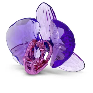 Swarovski Crystal Jewellery Idyllia SCS Orchid Petal