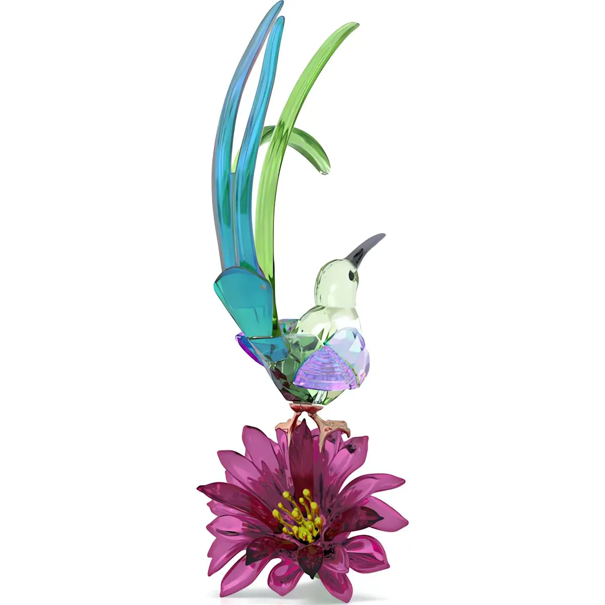 Swarovski Crystal Jewellery Idyllia Sugarbird and Cactus Flower
