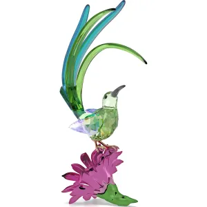 Swarovski Crystal Jewellery Idyllia Sugarbird and Cactus Flower