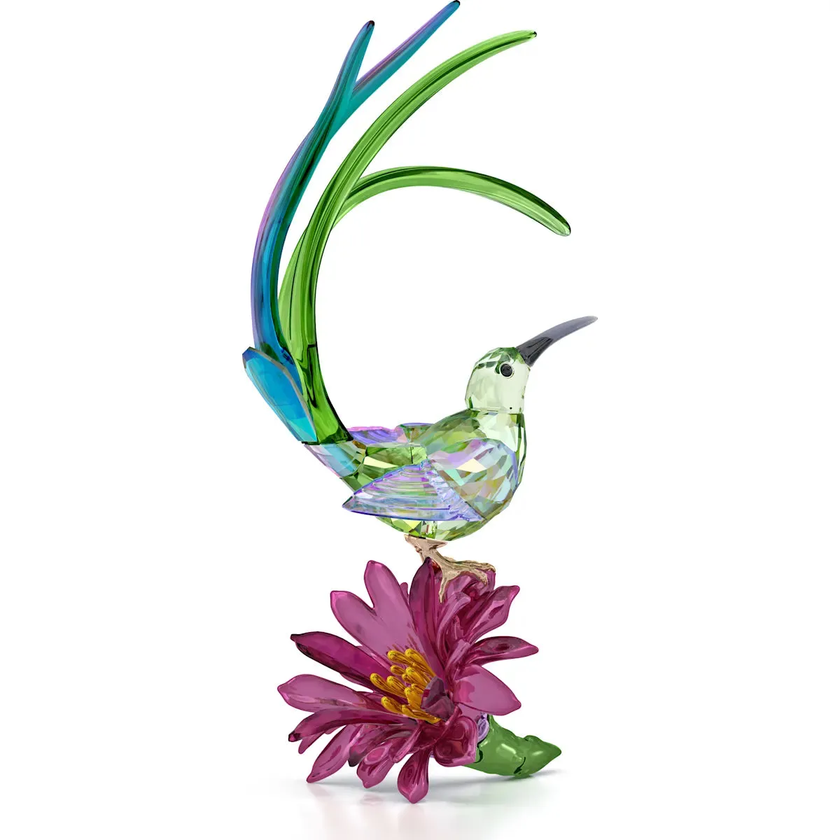 Swarovski Crystal Jewellery Idyllia Sugarbird and Cactus Flower