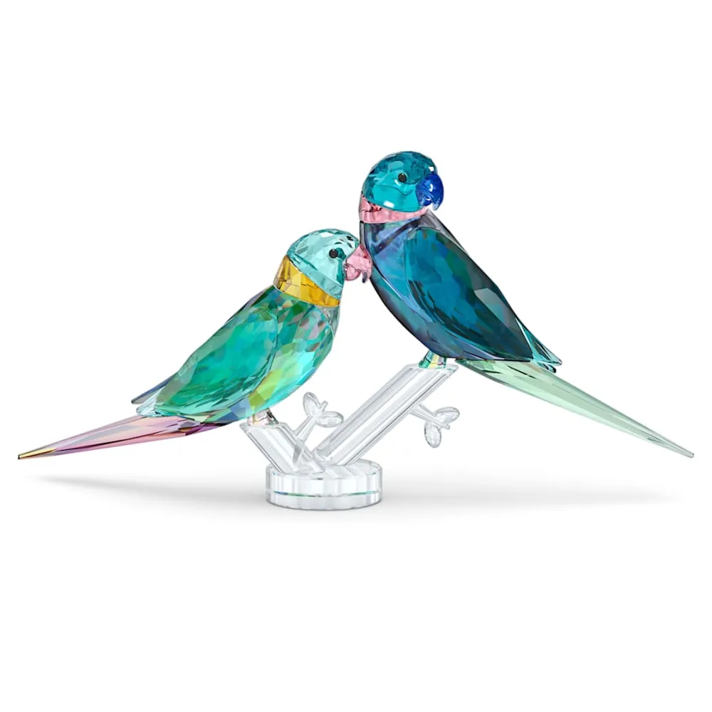 Swarovski Crystal Jewellery Jungle Beats Parakeet Couple Fife & Fifer