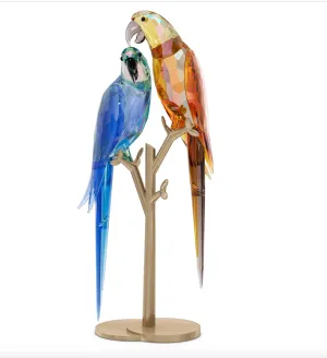 Swarovski Crystal Jewellery Jungle Beats: Parrot Couple