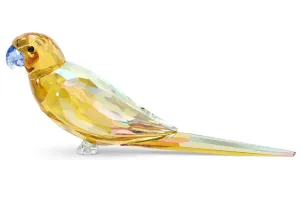 Swarovski Crystal Jewellery Jungle Beats Yellow Parakeet Lechee