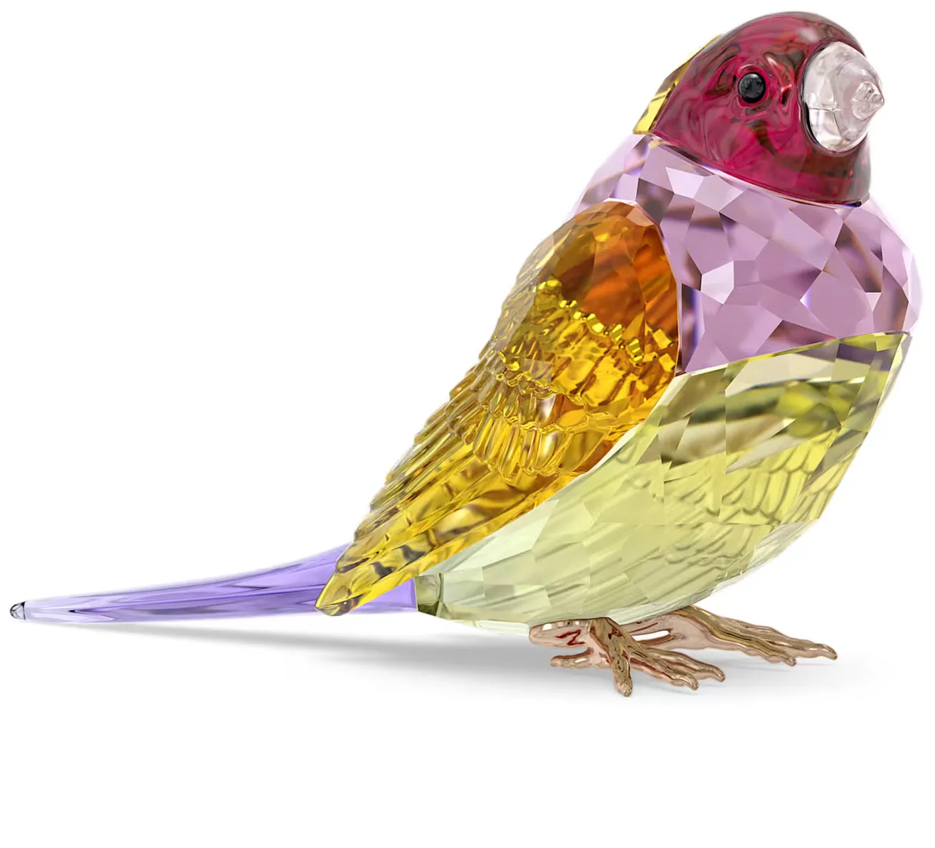 Swarovski Crystal Jewellery Ldyllia Large SCS Gouldian Finch