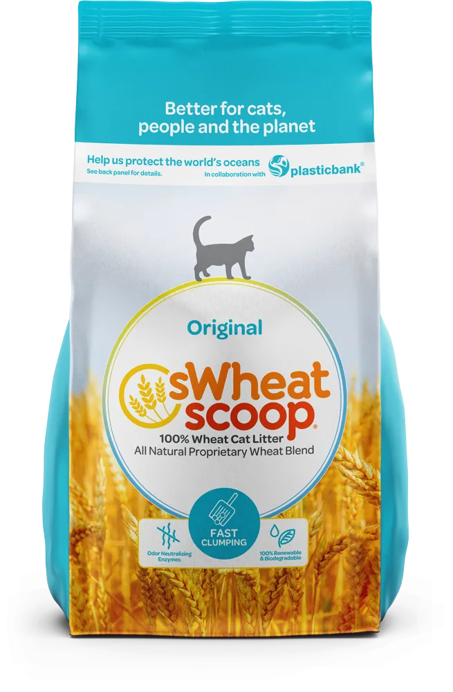 sWheat Scoop Fast Clumping Natural Original Cat Litter clumping litter for cats, natural cat litter