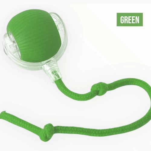 Talking Dog Club Automatic Rotating Interactive LED Ball for Cats, Kittens and Puppies (Green)
