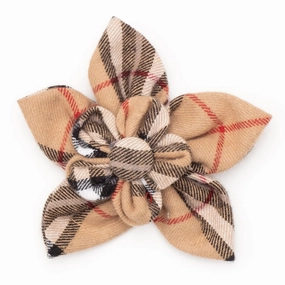 Tan Plaid Dog Collar Flower dog collar accessory,collar decor