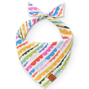 The Foggy Dog Bandana - Scallop Stripe cat toys, cat supplies