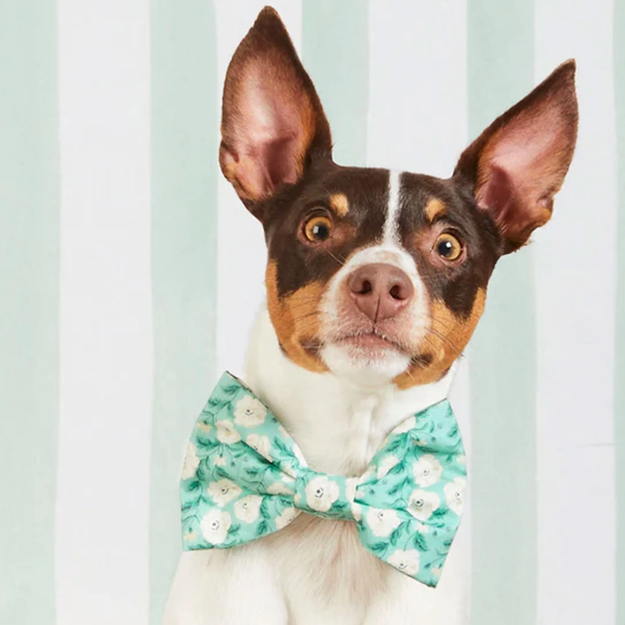 The Foggy Dog Bowtie - Seafoam Poppies