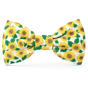 The Foggy Dog Bowtie - You Are My Sunshine cat toys, cat supplies