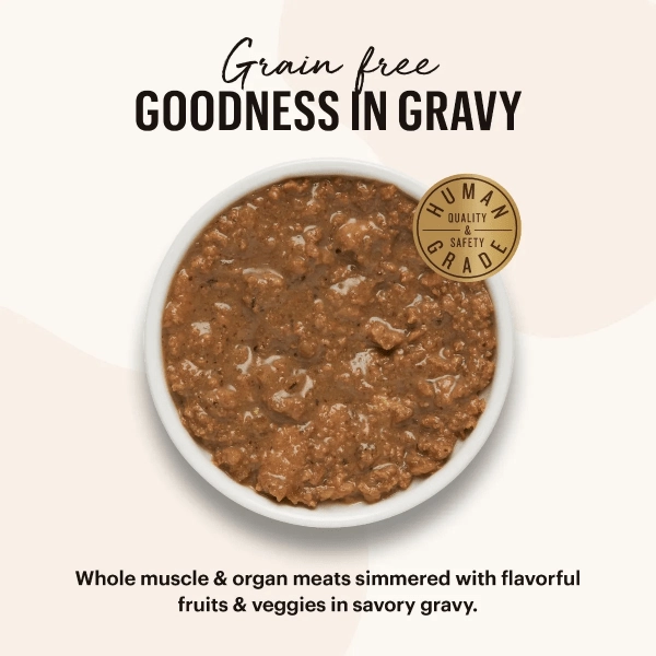 The Honest Kitchen Minced Grain Free Turkey Recipe Wet Cat Food; Case of 12 (SPECIAL ORDER ITEM)