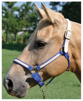 Tough1 Leather Overlay Breakaway Horse Nylon Halter bird pet,aviary product