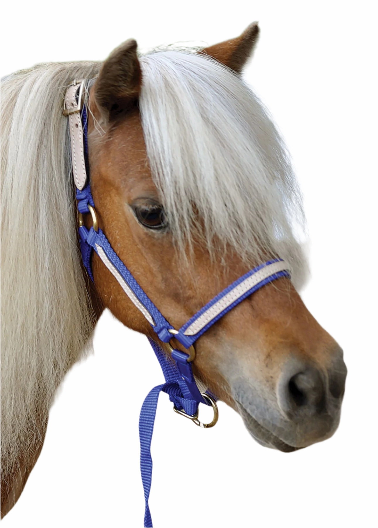Tough1 Miniature Nylon Breakaway Halter, Large
