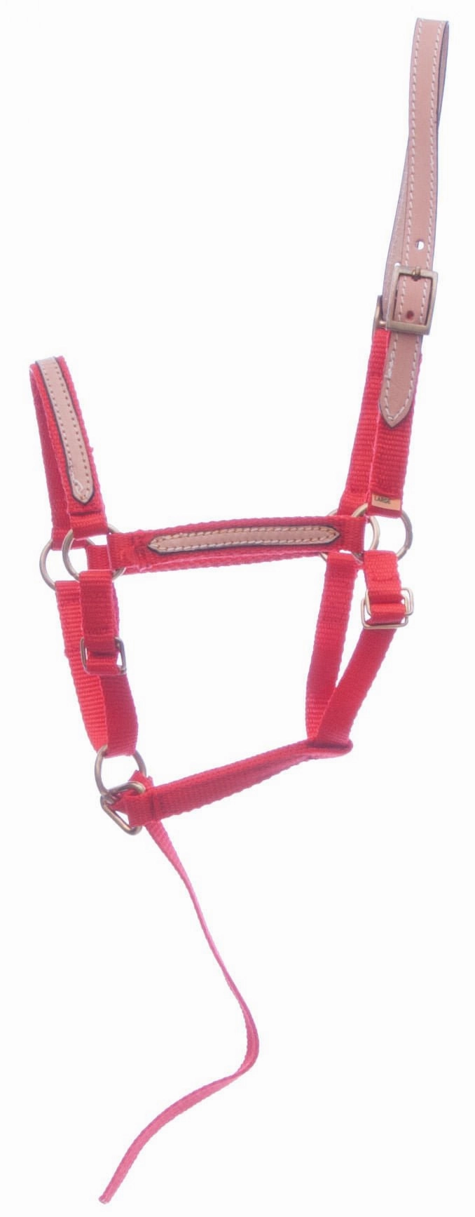 Tough1 Miniature Nylon Breakaway Halter, Large
