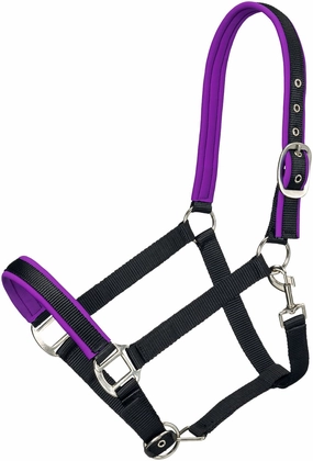 Tough1 Padded Nylon Horse Halter, Full bird pet,aviary product