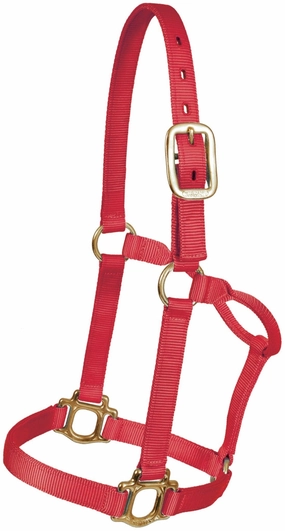 Traditional Nylon Halter, Yearling bird pet,aviary product