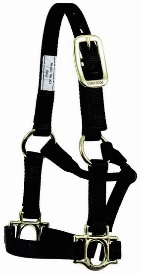 Traditional Nylon Pony Halter bird pet,aviary product