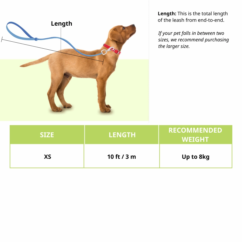 Trixie Flexi Classic Cordless Leash for Cats (Black)