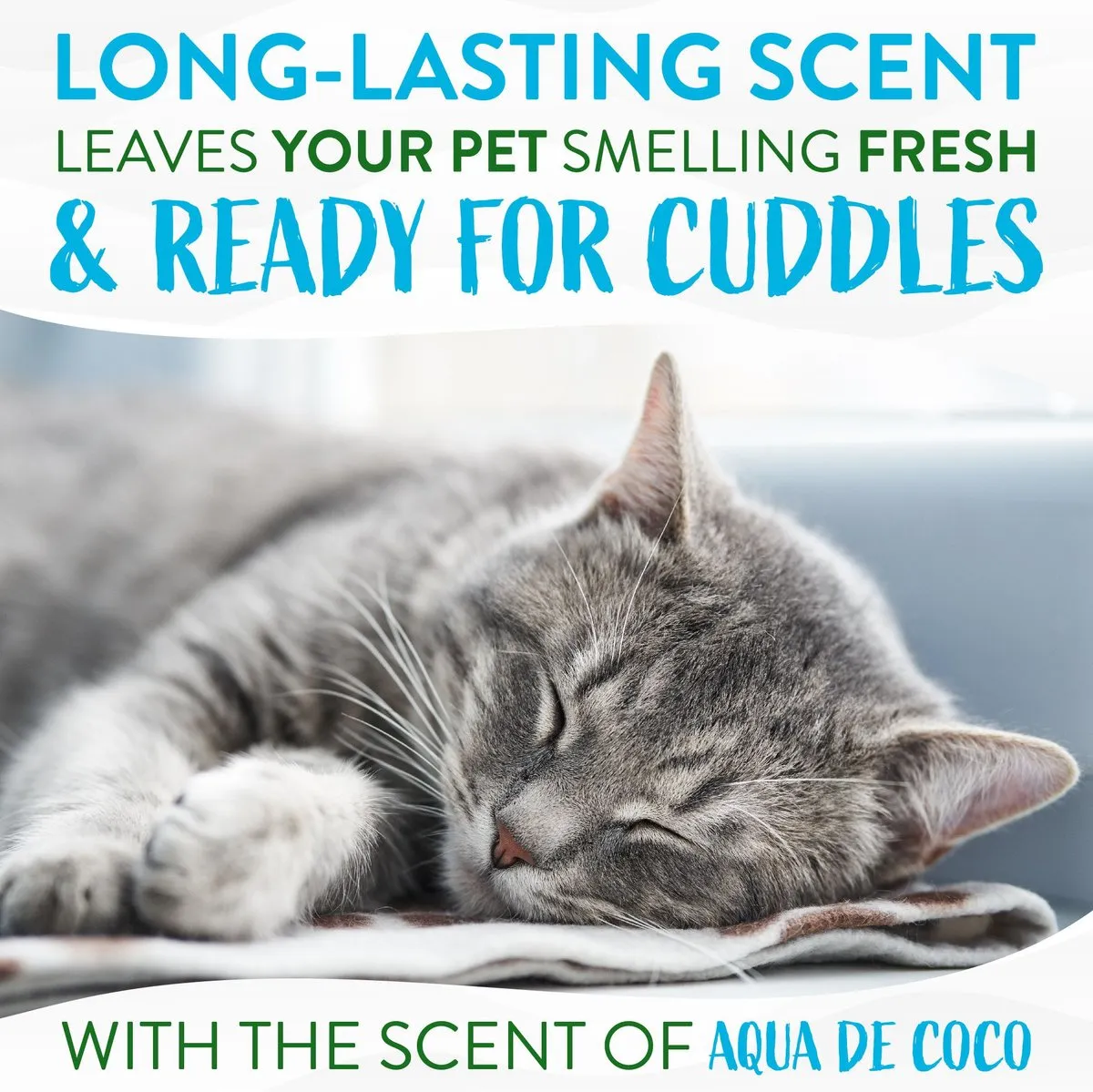 TropiClean Dry No Rinse Waterless Dander Reducing Cat & Kitten Shampoo