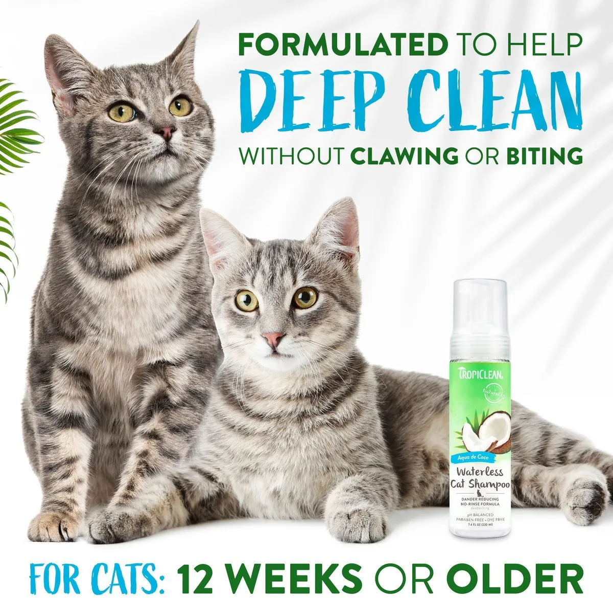 TropiClean Dry No Rinse Waterless Dander Reducing Cat & Kitten Shampoo