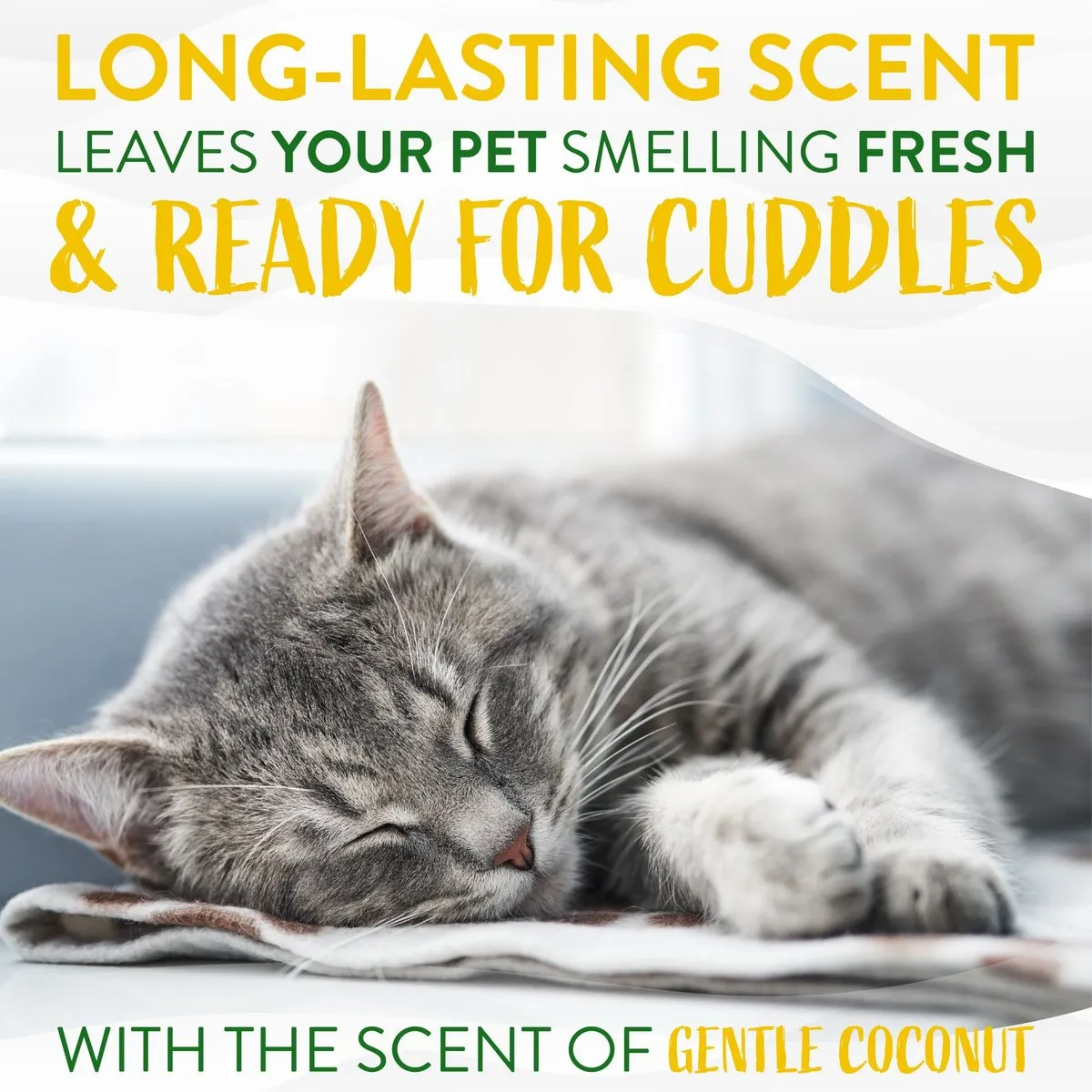 TropiClean Gentle Coconut Hypoallergenic Cat & Kitten Shampoo