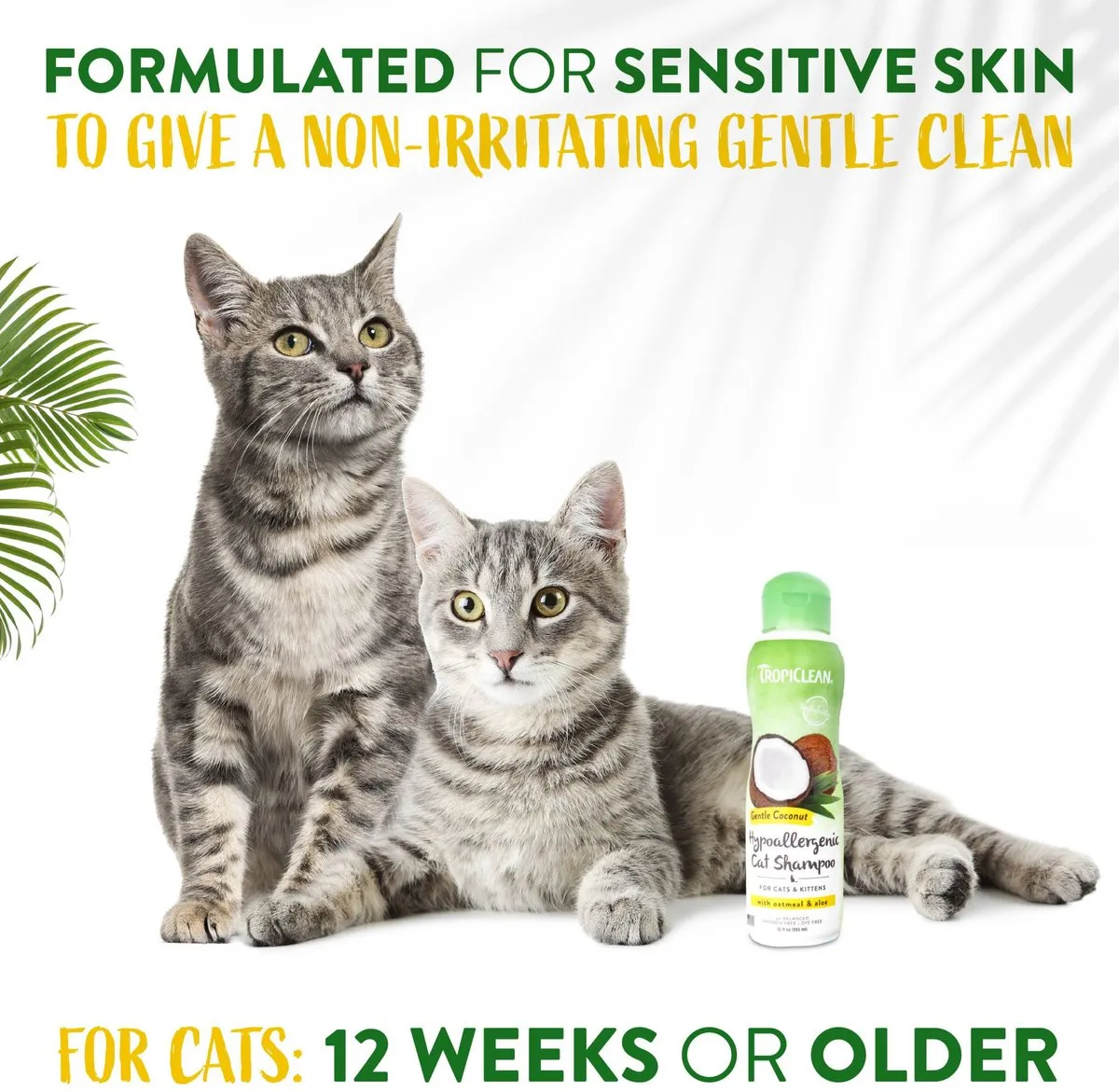TropiClean Gentle Coconut Hypoallergenic Cat & Kitten Shampoo