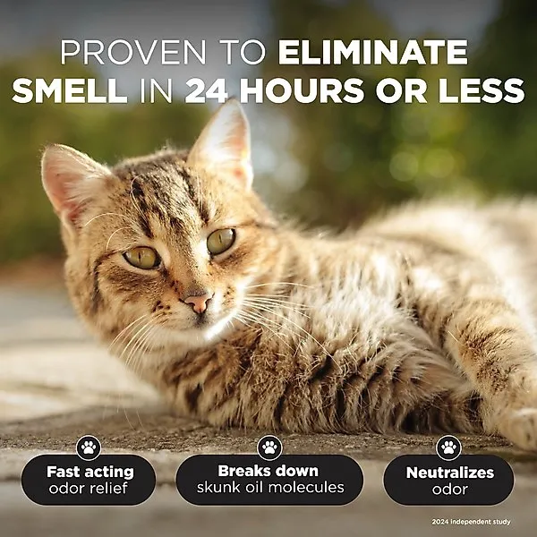 TropiClean Skunk Odor Control Dog & Cat Shampoo