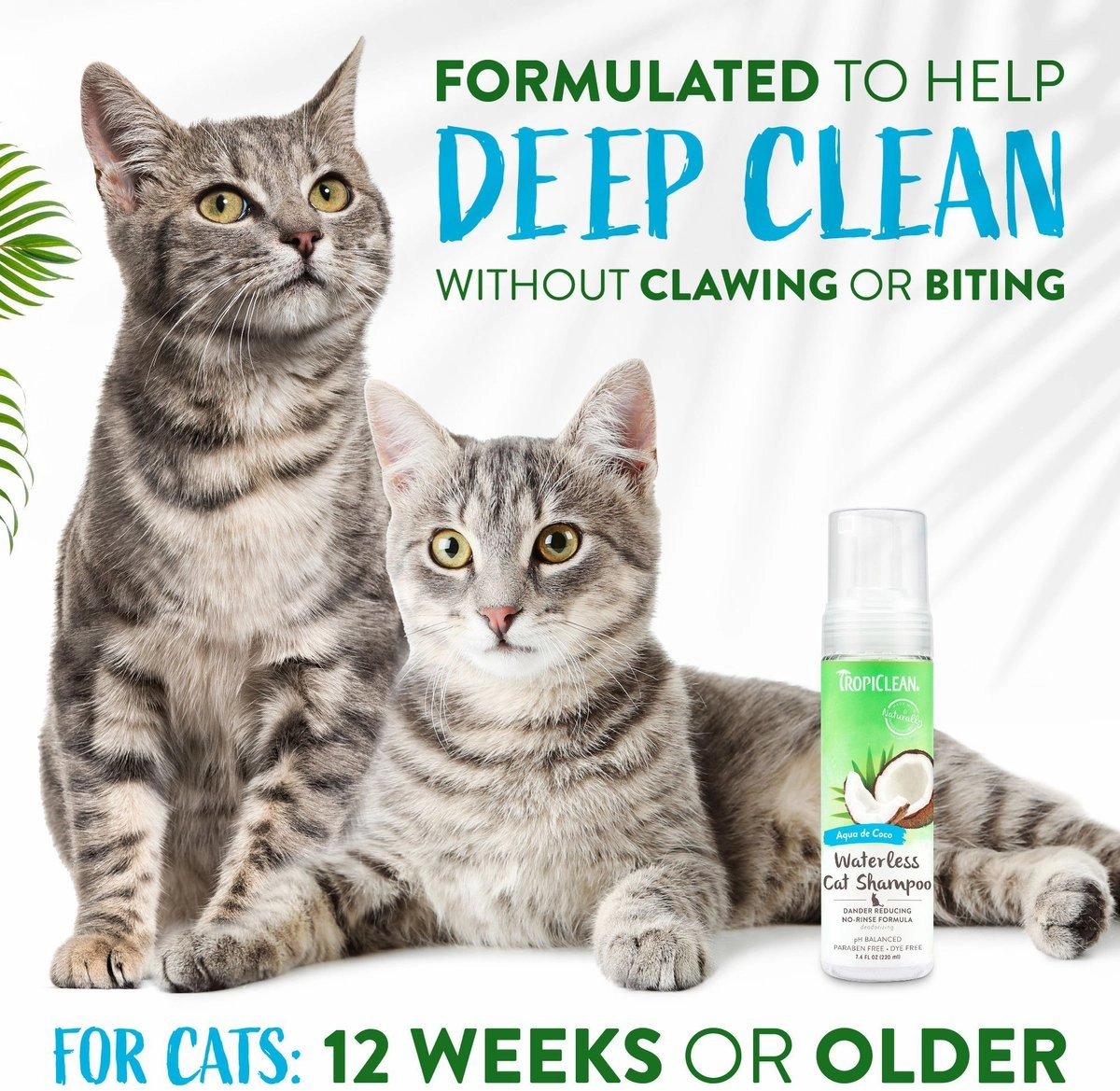 TropiClean Dry No Rinse Waterless Dander Reducing Cat & Kitten Shampoo
