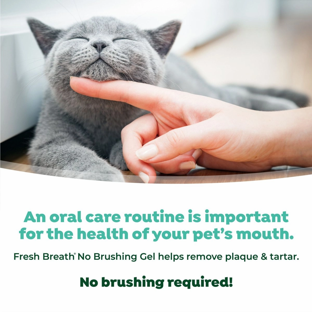 TropiClean Fresh Breath Oral Care Clean Teeth Gel for Cats